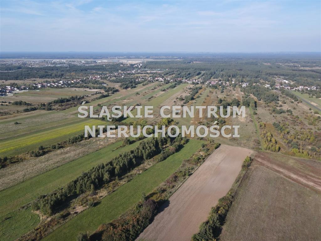 Działka budowlana 658 m², Sadowie, Dworska - zdjęcie 8