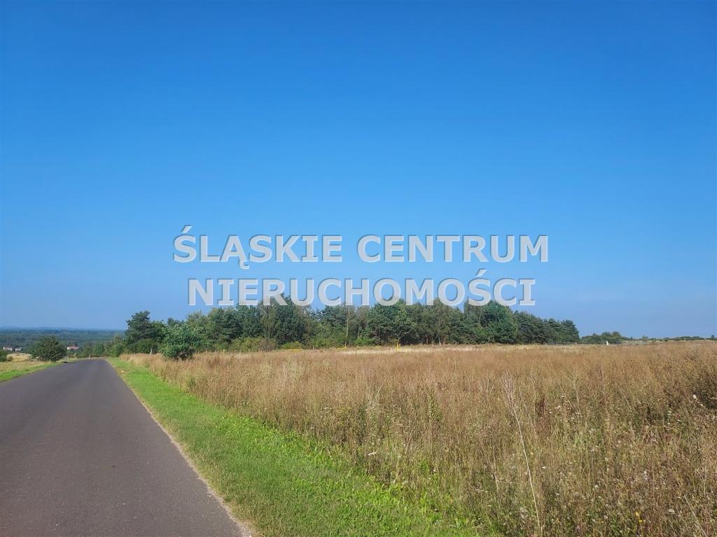 Działka budowlana 658 m², Sadowie, Dworska - zdjęcie 5