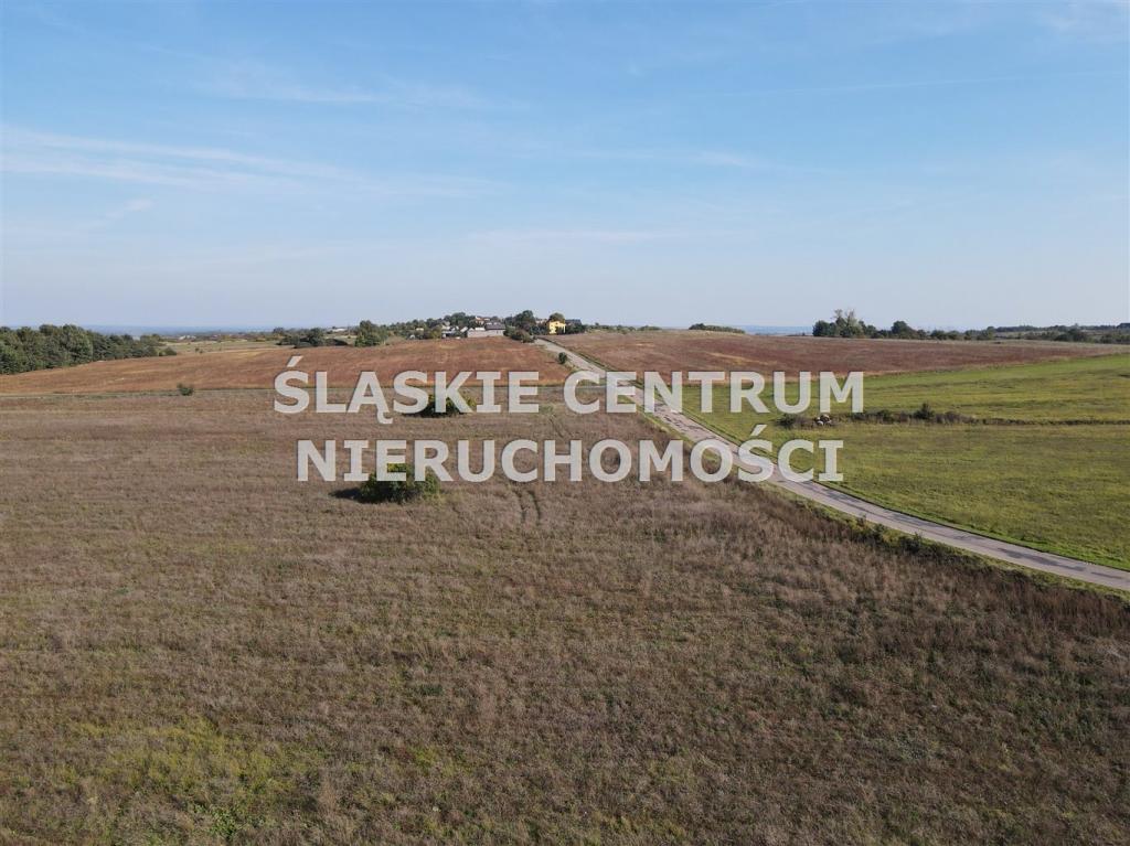 Działka budowlana 658 m², Sadowie, Dworska - zdjęcie 7