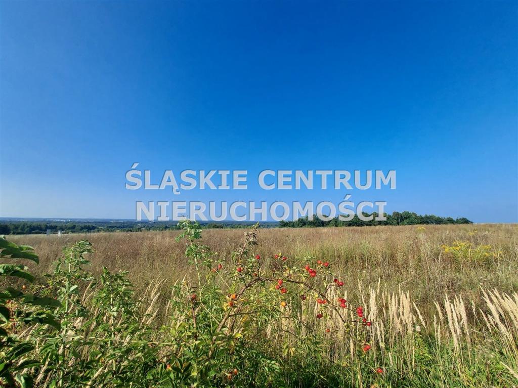 Działka budowlana 658 m², Sadowie, Dworska - zdjęcie 1