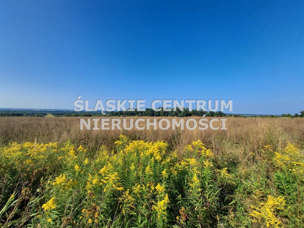 Działka budowlana 658 m², Sadowie, Dworska - zdjęcie 2