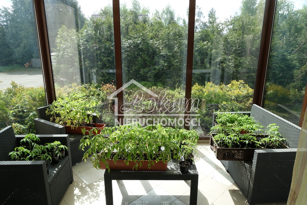 Lokal usługowy na sprzedaż, 641&nbsp;m², Chojna - zdjęcie 13