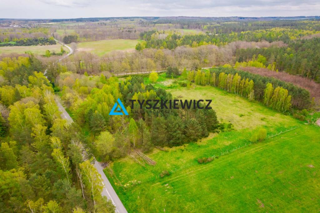 Działka letniskowa w Szczenurzy - zdjęcie 1