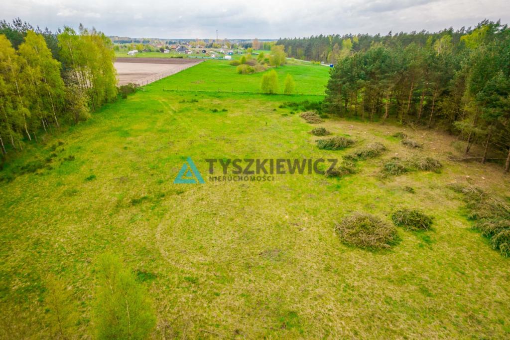 Działka letniskowa w Szczenurzy - zdjęcie 8