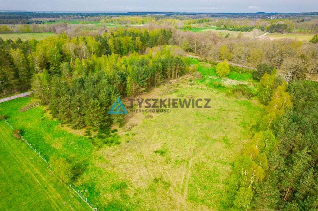 Działka letniskowa w Szczenurzy - zdjęcie 24