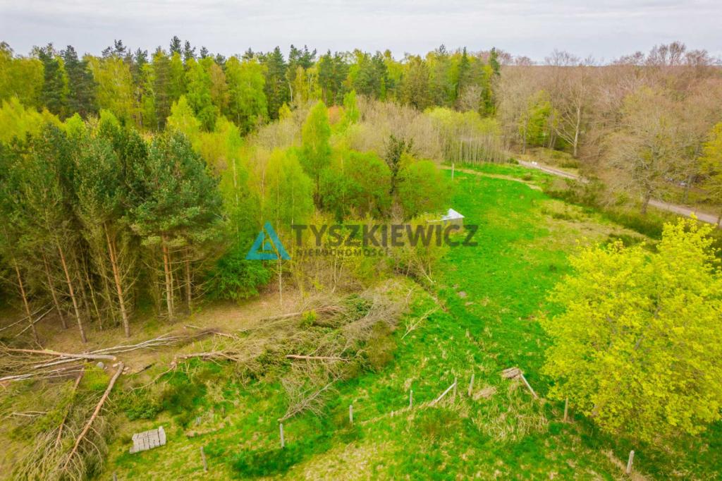 Działka letniskowa w Szczenurzy - zdjęcie 9