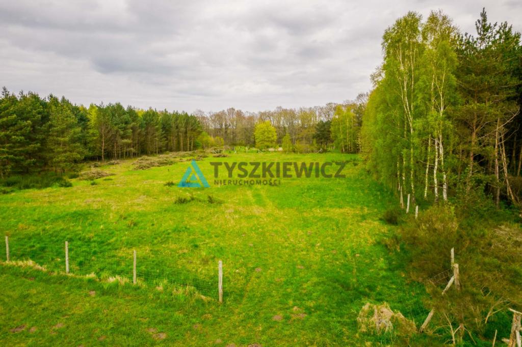 Działka letniskowa w Szczenurzy - zdjęcie 10