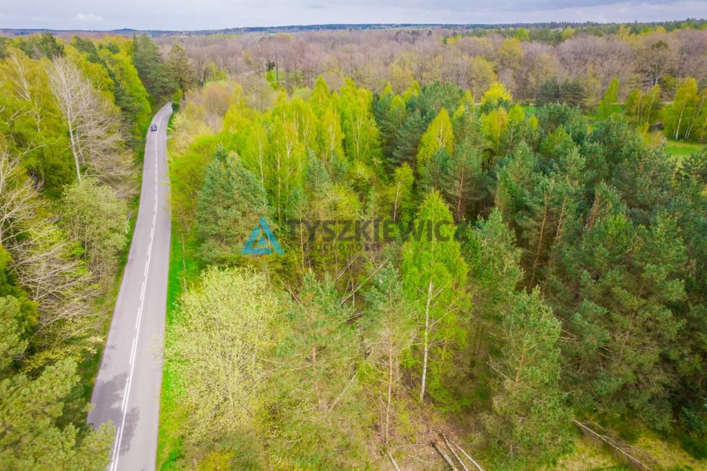 Działka inwestycyjna pod usługi turystyczne - zdjęcie 17