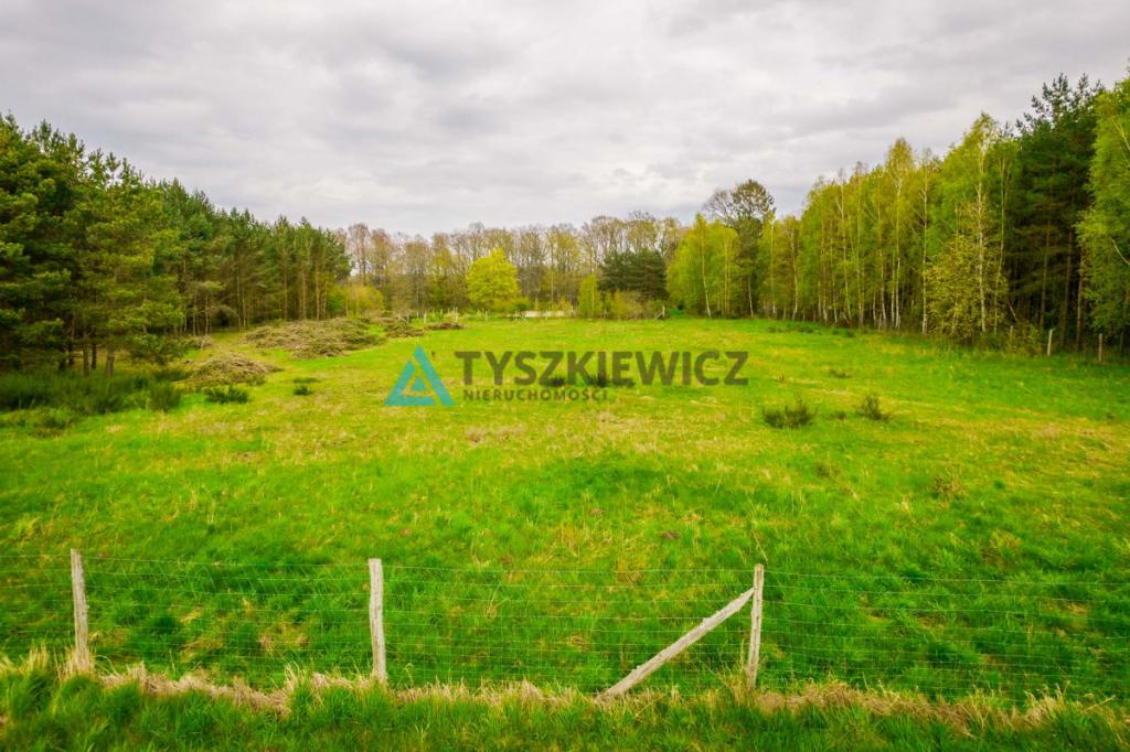 Działka inwestycyjna pod usługi turystyczne - zdjęcie 14
