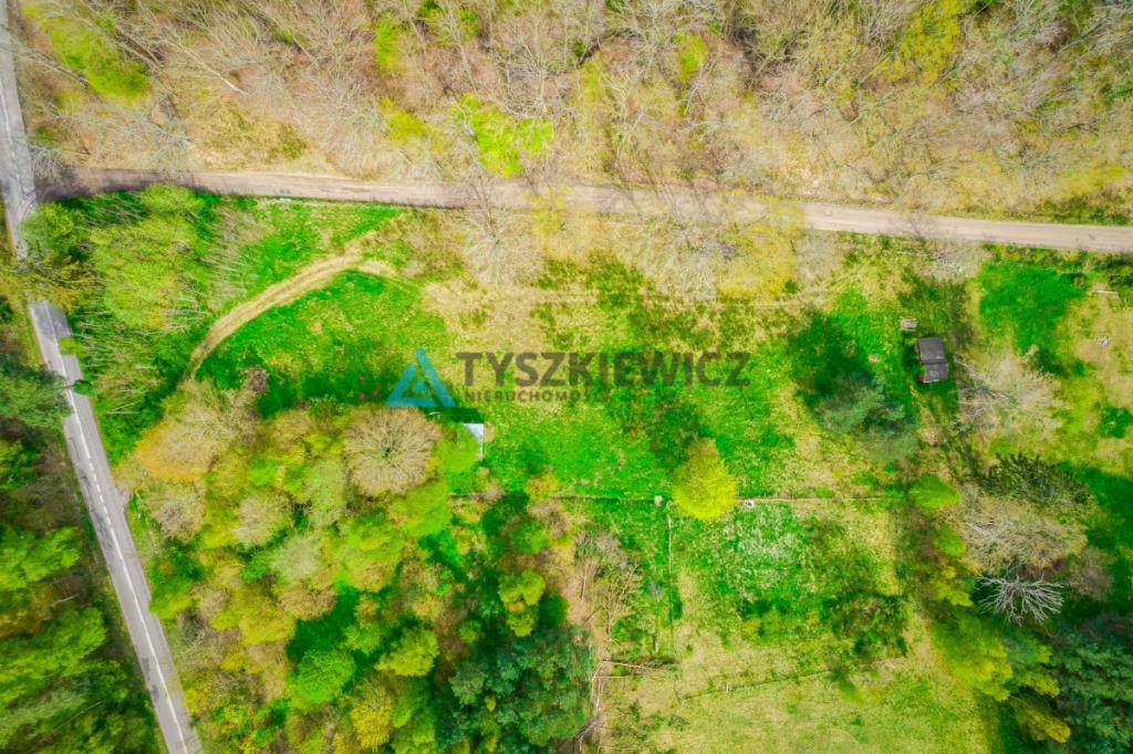 Działka inwestycyjna pod usługi turystyczne - zdjęcie 23