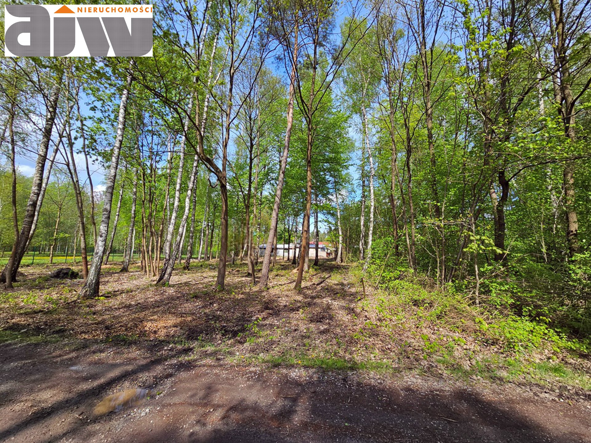 Działka Izabelin B 2200 m2 sprzedaż z fakturą - zdjęcie 3