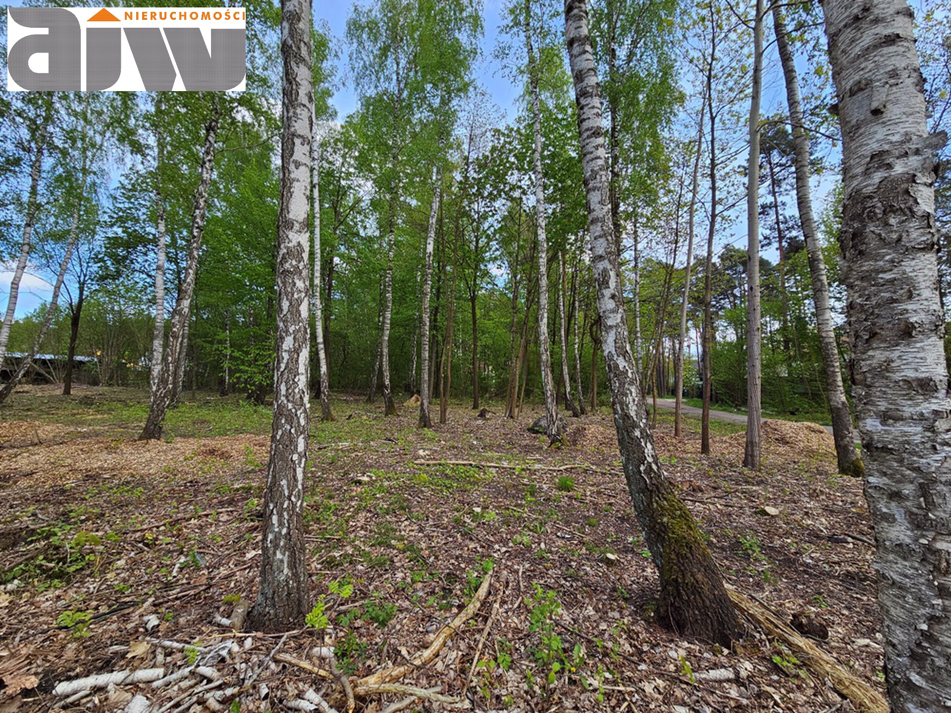 Działka Izabelin B 2200 m2 sprzedaż z fakturą - zdjęcie 2