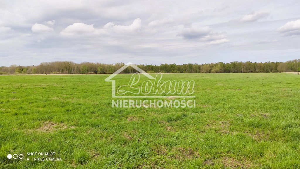 Działka budowlana 8,00&nbsp;ha, Niedźwiedź - zdjęcie 2