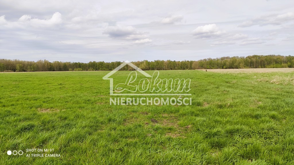 Działka budowlana 8,00&nbsp;ha, Niedźwiedź - zdjęcie 1