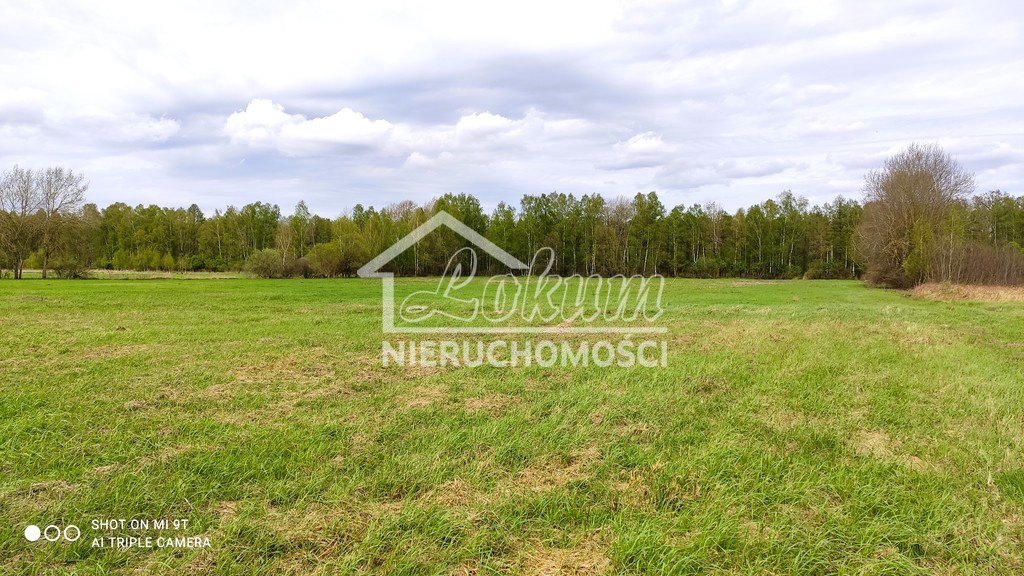 Działka budowlana 8,00&nbsp;ha, Niedźwiedź - zdjęcie 5