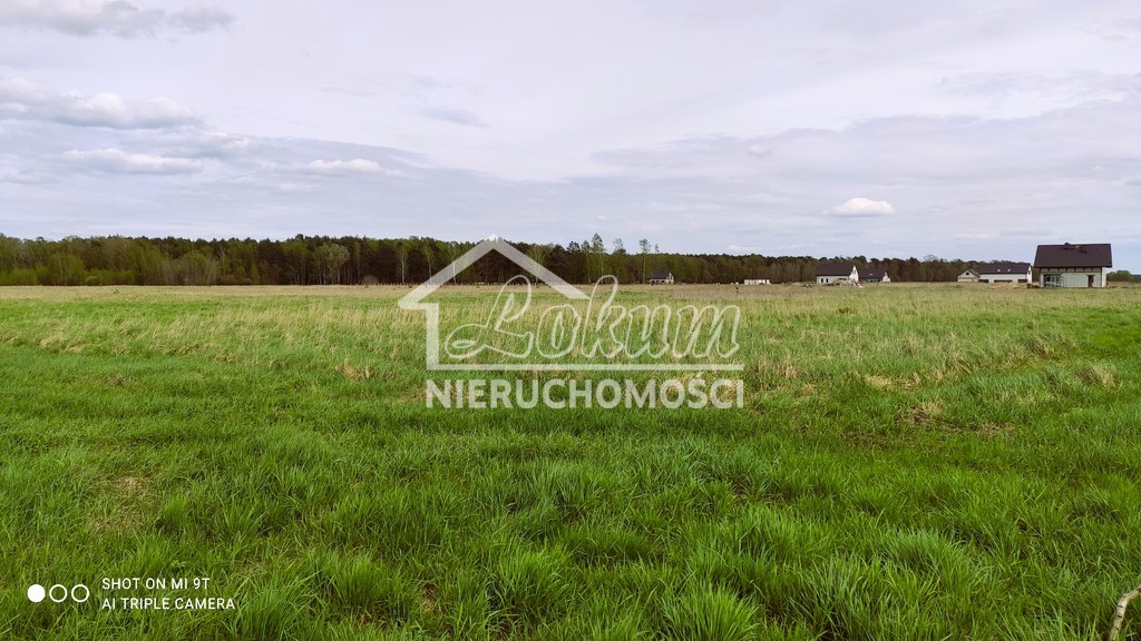 Działka budowlana 8,00&nbsp;ha, Niedźwiedź - zdjęcie 3