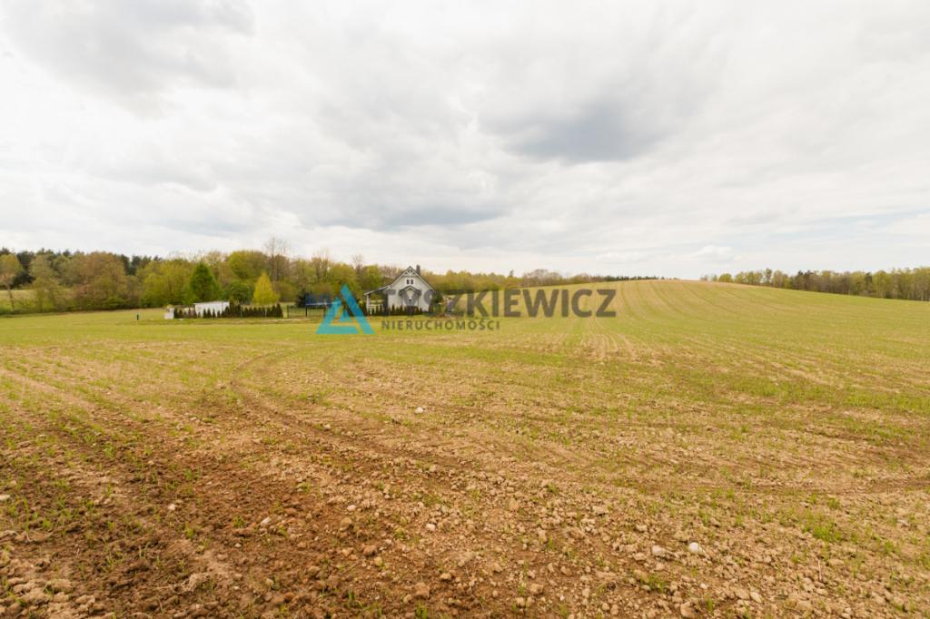 Działka nad jeziorem! Prąd na działce - zdjęcie 16