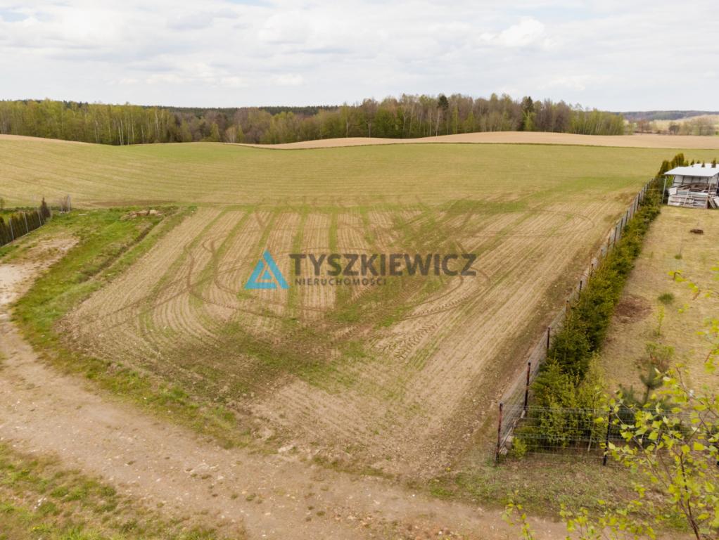 Działka nad jeziorem! Prąd na działce - zdjęcie 9