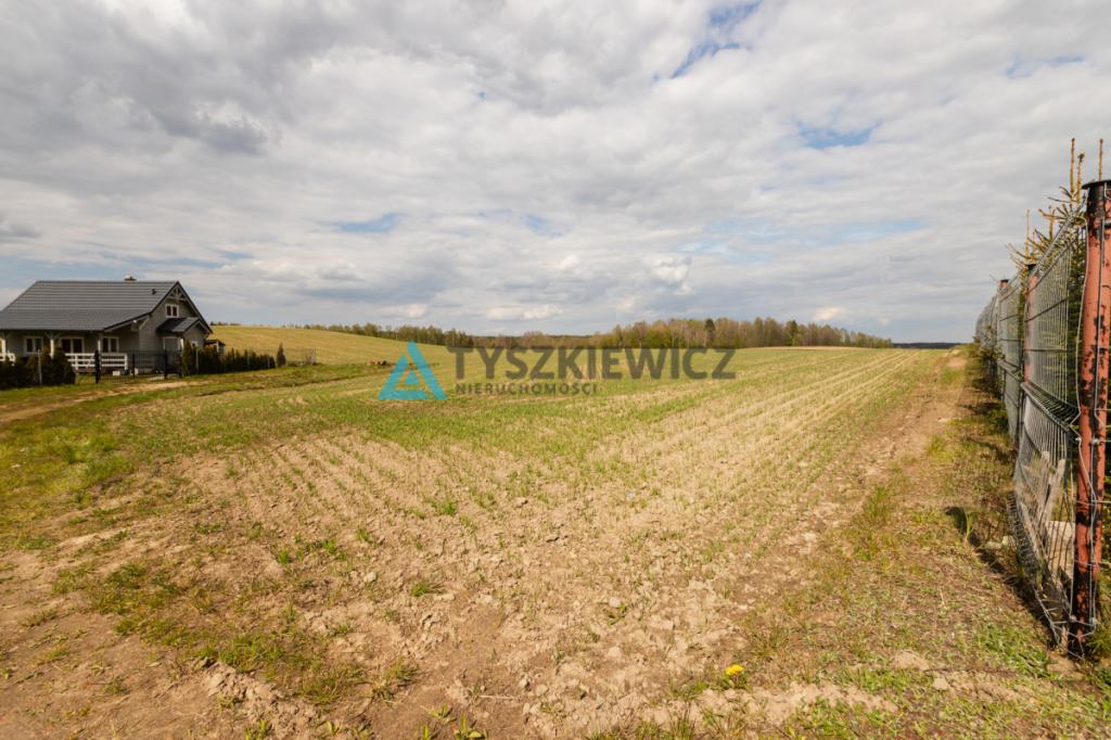 Działka nad jeziorem! Prąd na działce - zdjęcie 10