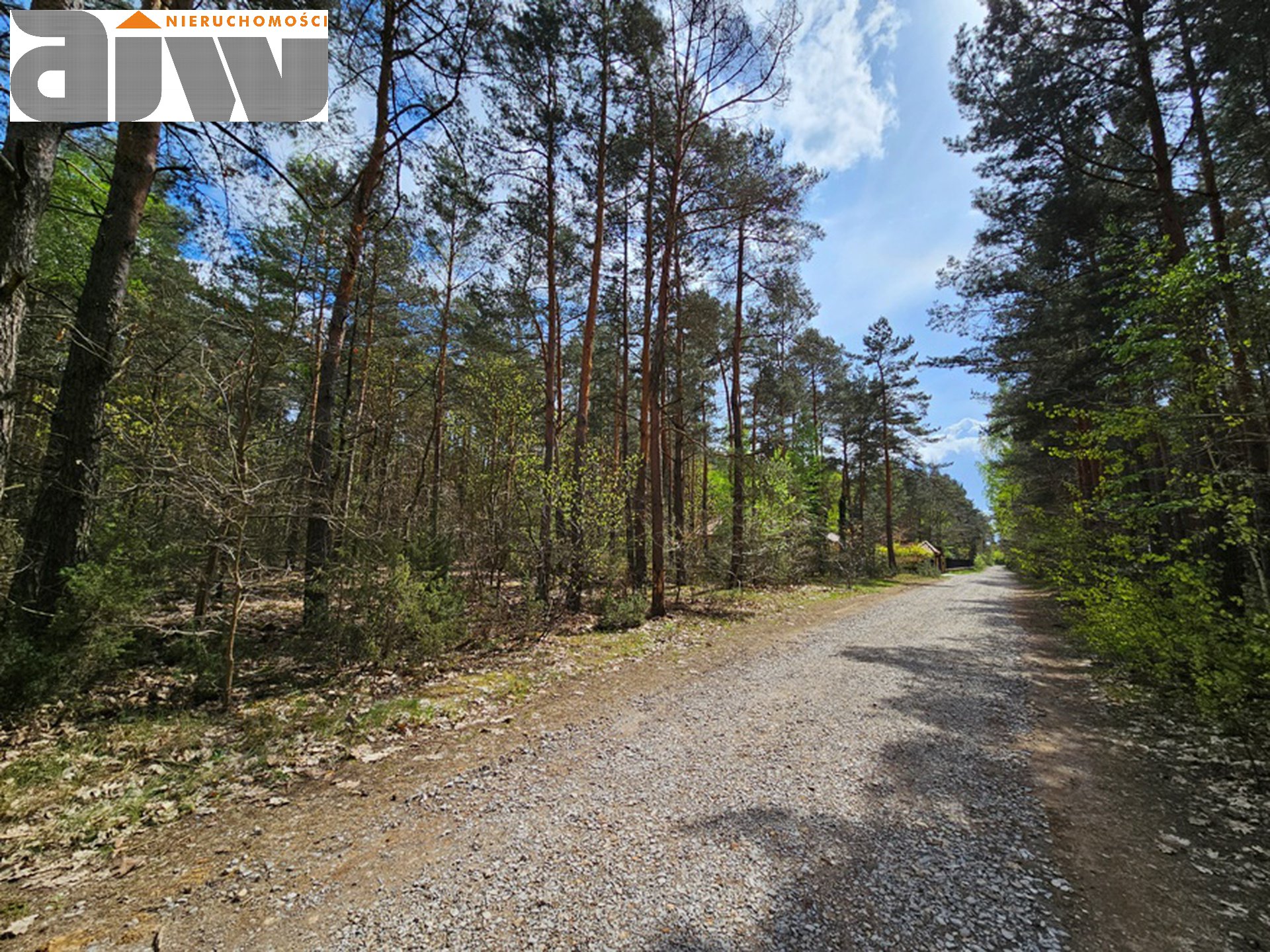 Trusakw działka w reprezentacyjnej okolicy - zdjęcie 1