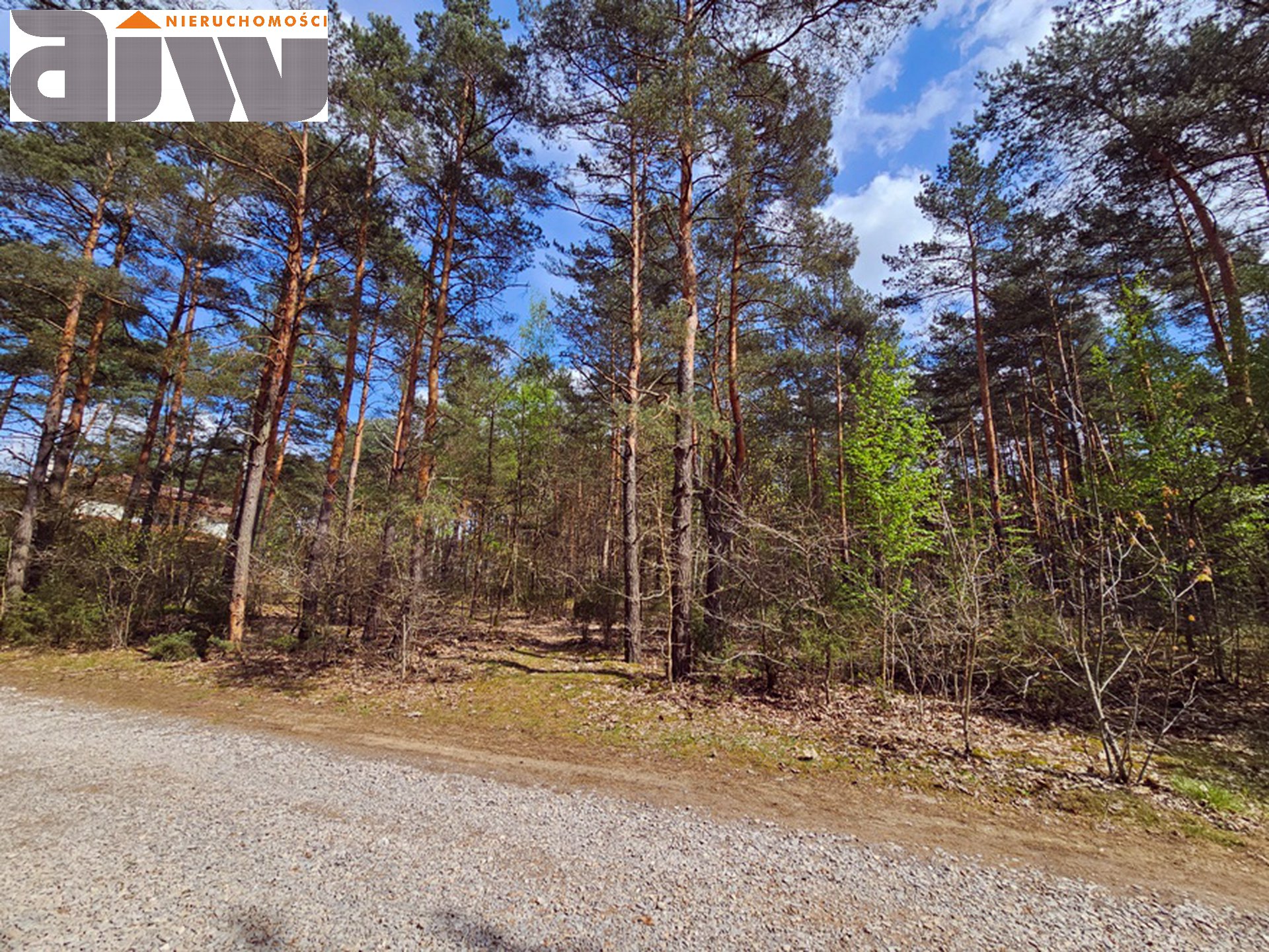 Trusakw działka w reprezentacyjnej okolicy - zdjęcie 2