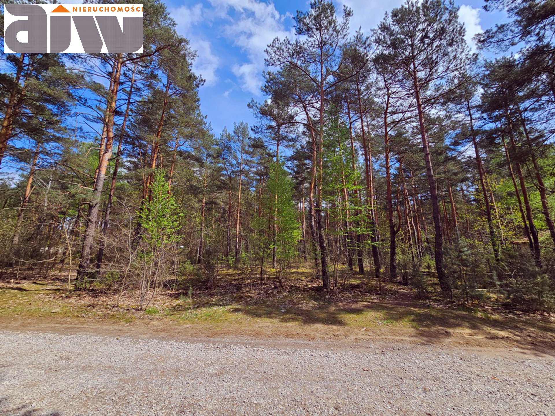 Trusakw działka w reprezentacyjnej okolicy - zdjęcie 3