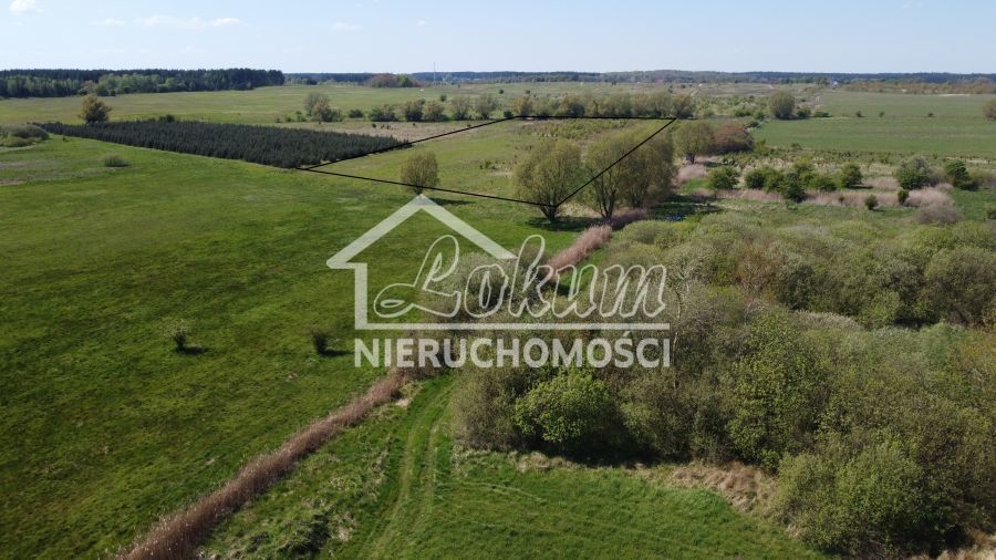 Działka budowlana 2,27&nbsp;ha, Wąwelnica - zdjęcie 6