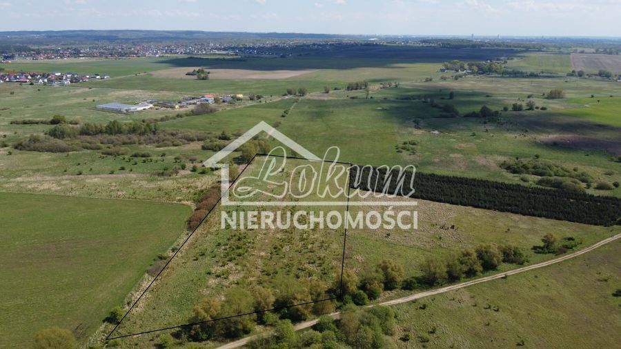 Działka budowlana 2,27&nbsp;ha, Wąwelnica - zdjęcie 5