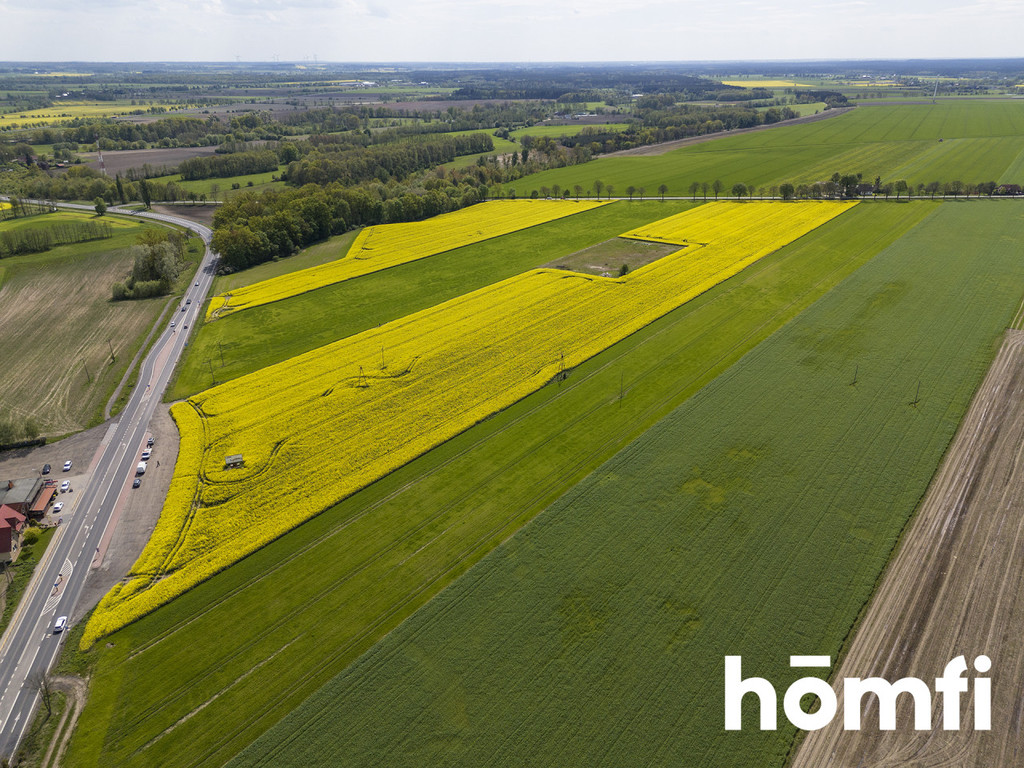 Działka inwestycyjna 6,60 ha, Gościejewo - zdjęcie 5
