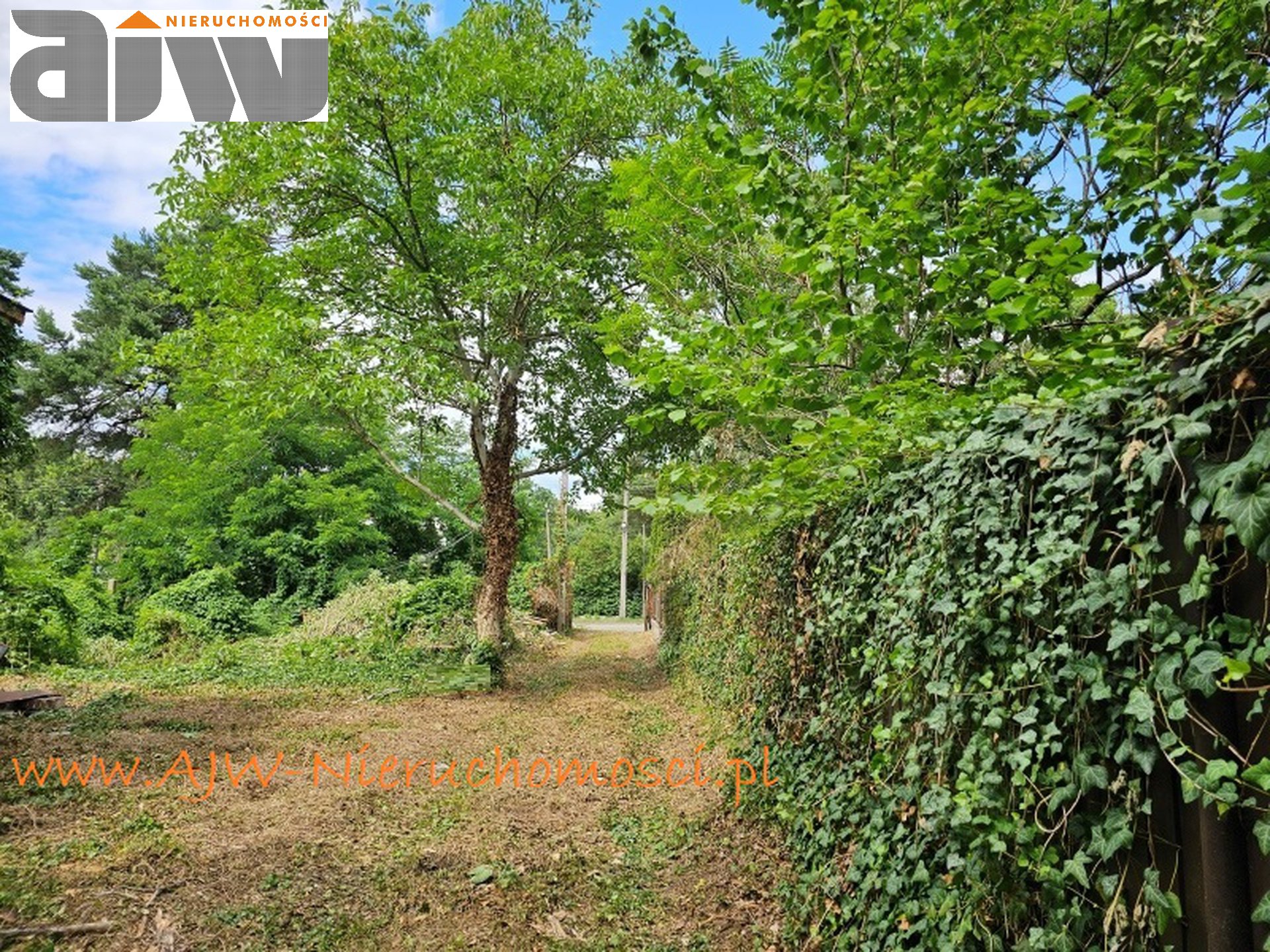 Działka 1200 m2 Izabelin C - zdjęcie 2