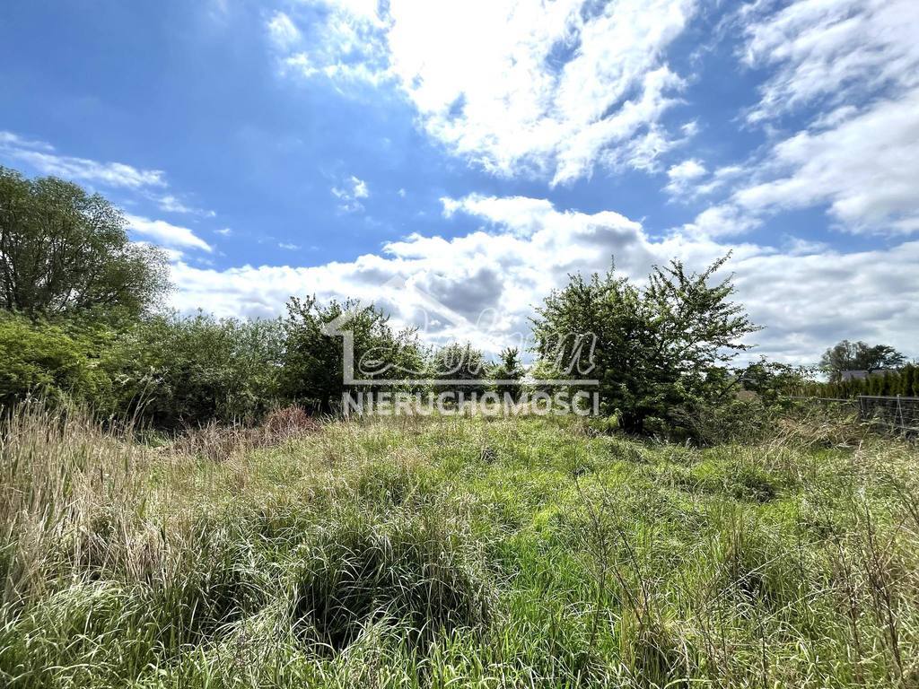 Działka budowlana 4446 m², Dołuje - zdjęcie 4