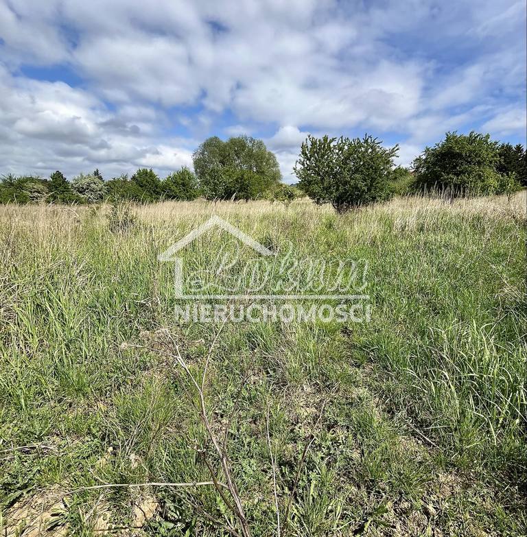 Działka budowlana 4446 m², Dołuje - zdjęcie 3