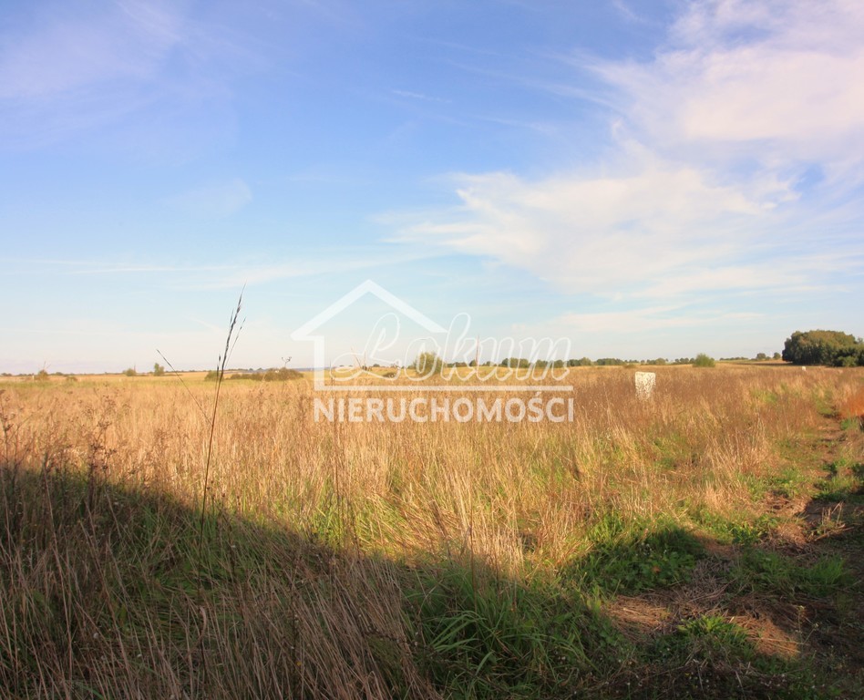 Działka budowlana 1261 m², Gleźno - zdjęcie 4