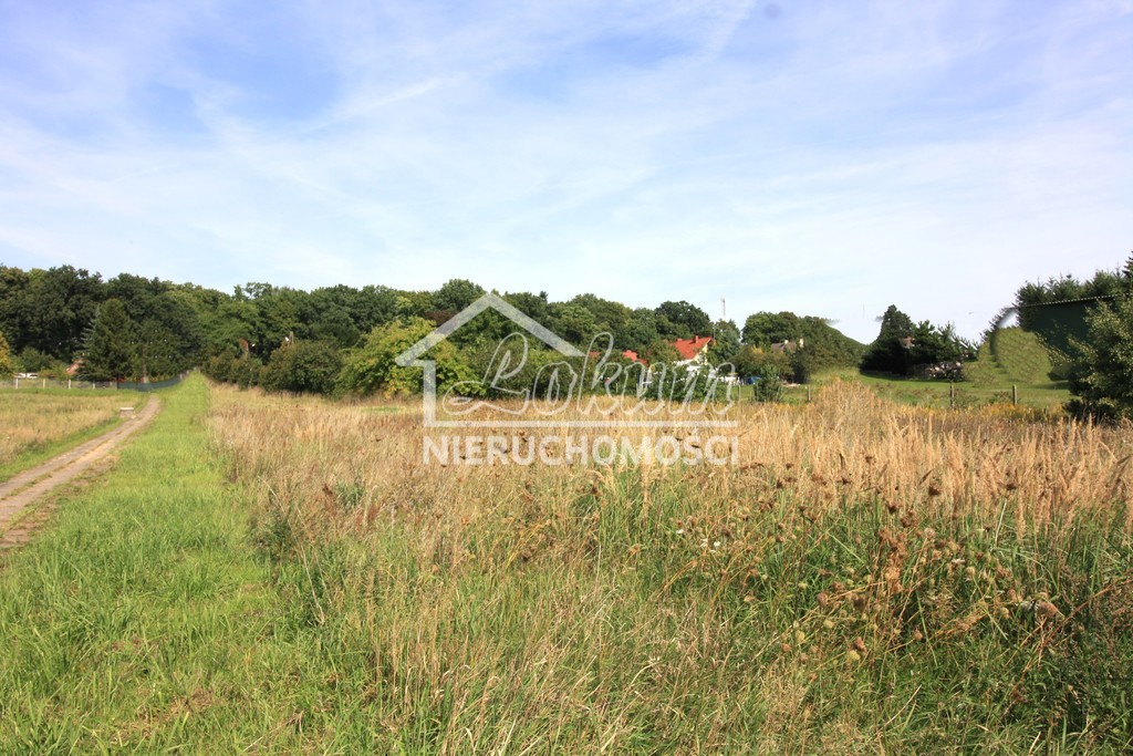 Działka budowlana 3196&nbsp;m², Ińsko - zdjęcie 3