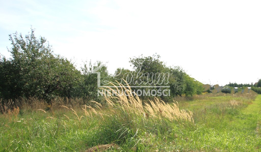 Działka budowlana 3196&nbsp;m², Ińsko - zdjęcie 5