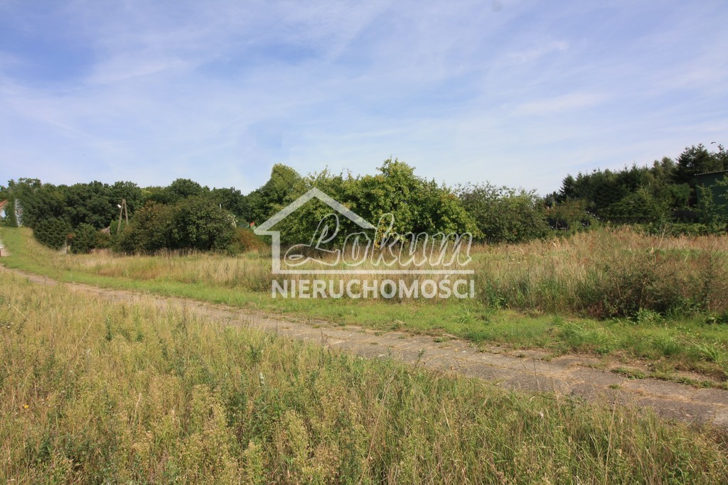 Działka budowlana 3196&nbsp;m², Ińsko - zdjęcie 1