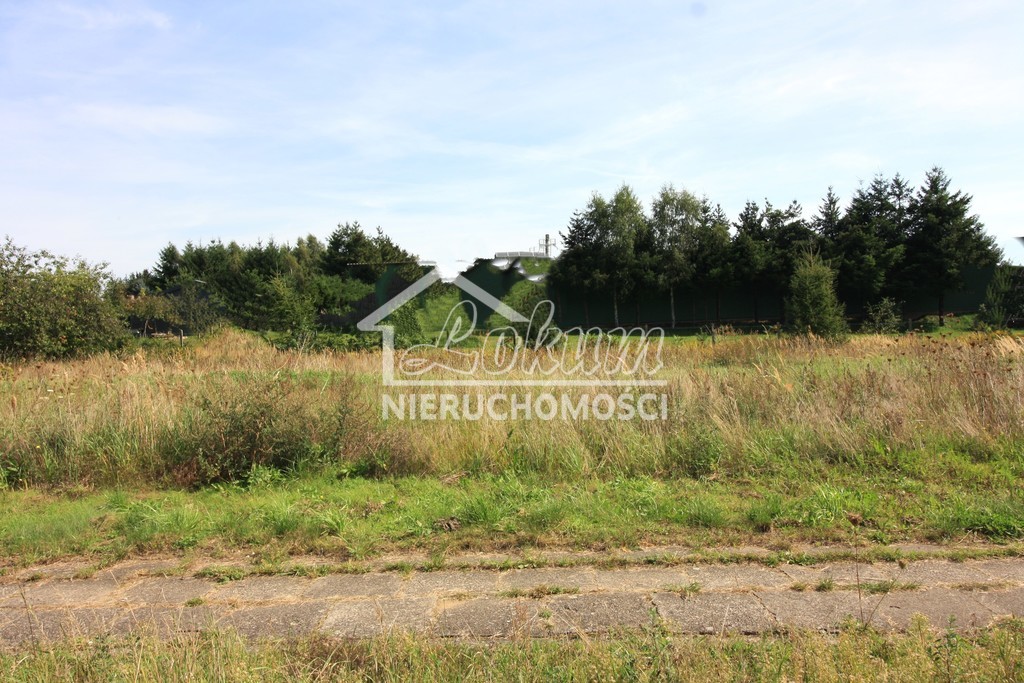 Działka budowlana 3196&nbsp;m², Ińsko - zdjęcie 3