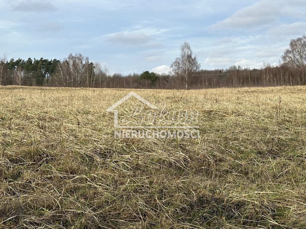 Działka rolna 3065 m², Storkowo - zdjęcie 1