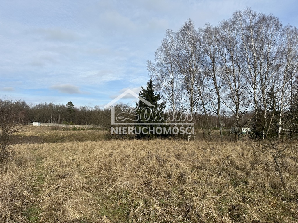 Działka rolna 3065&nbsp;m², Storkowo - zdjęcie 3