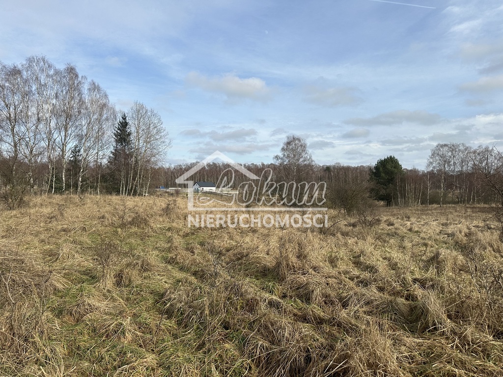 Działka rolna 3065 m², Storkowo - zdjęcie 2