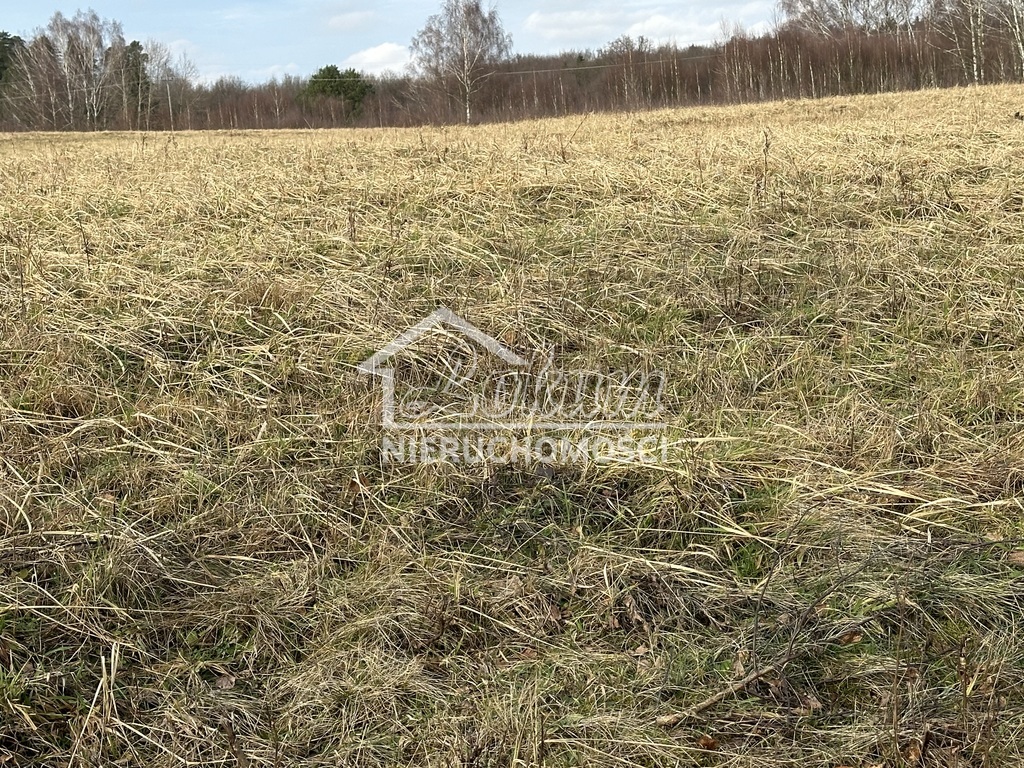 Działka rolna 3065 m², Storkowo - zdjęcie 6