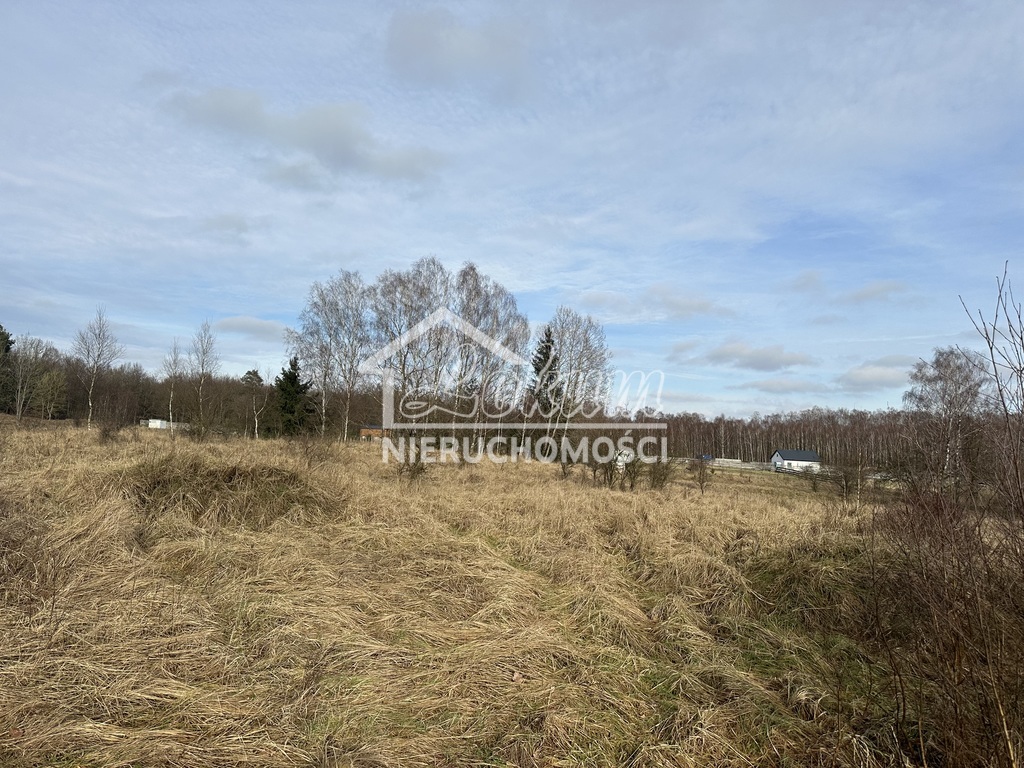 Działka rolna 3065 m², Storkowo - zdjęcie 4