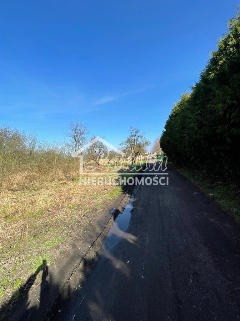 Działka budowlana 4800 m², Trzebież - zdjęcie 3