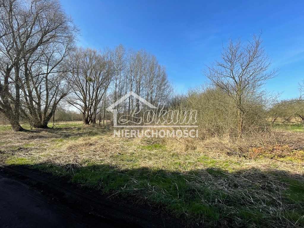 Działka budowlana 4800 m², Trzebież - zdjęcie 4