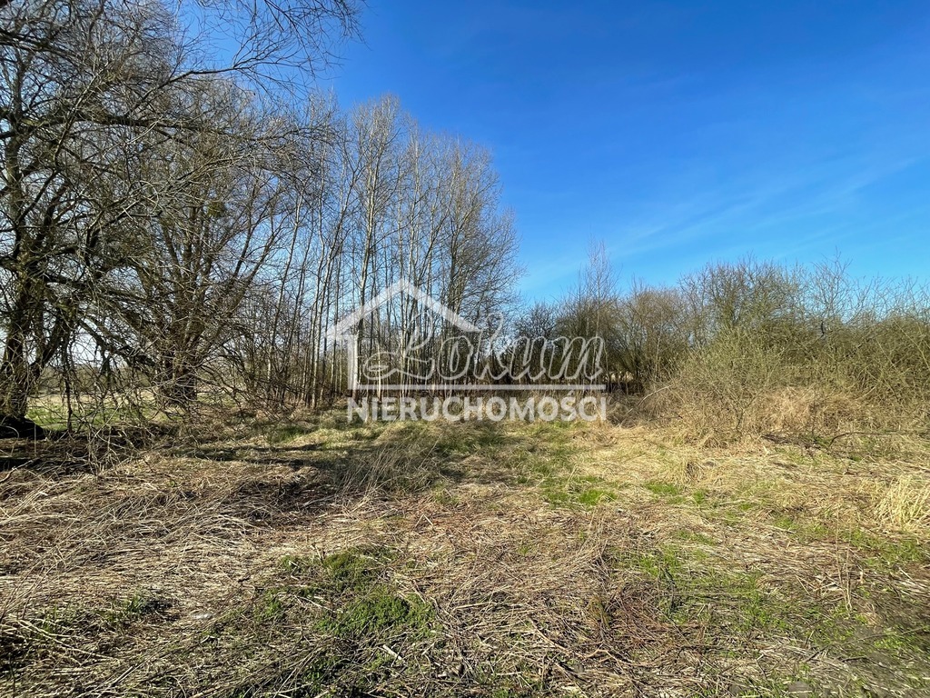 Działka budowlana 4800 m², Trzebież - zdjęcie 1