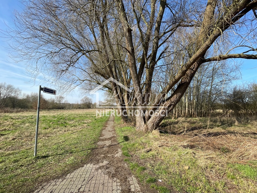 Działka budowlana 4800 m², Trzebież - zdjęcie 5