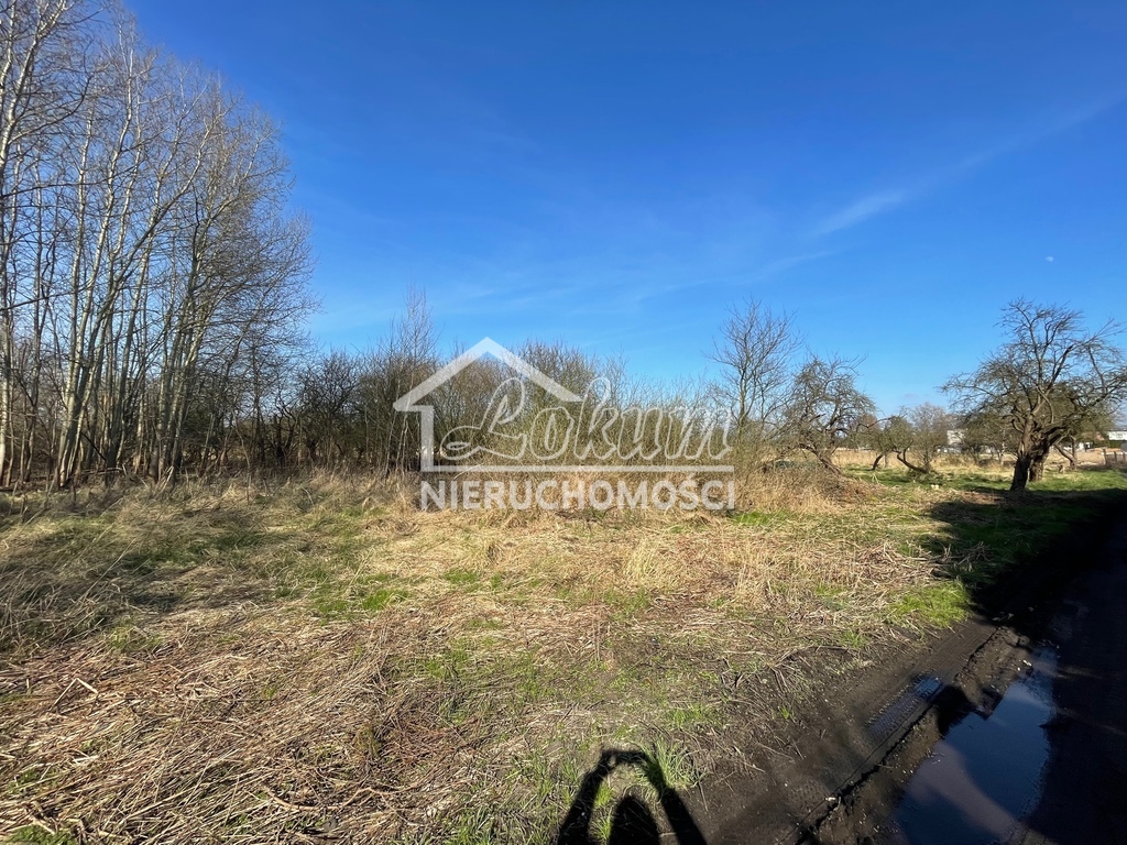 Działka budowlana 4800 m², Trzebież - zdjęcie 2