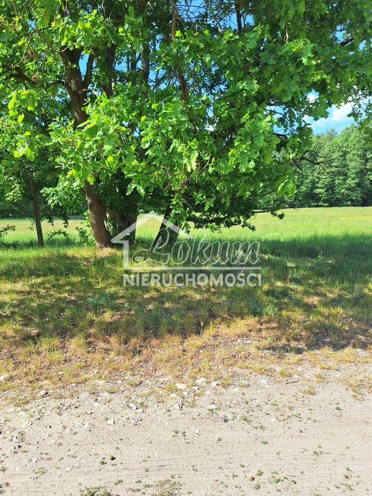 Działka inwestycyjna 3143&nbsp;m², Tanowo, Szczecińska - zdjęcie 3