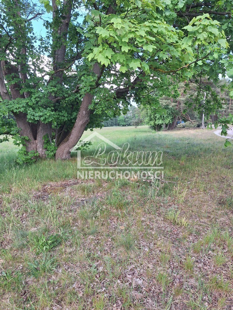 Działka inwestycyjna 3143&nbsp;m², Tanowo, Szczecińska - zdjęcie 8