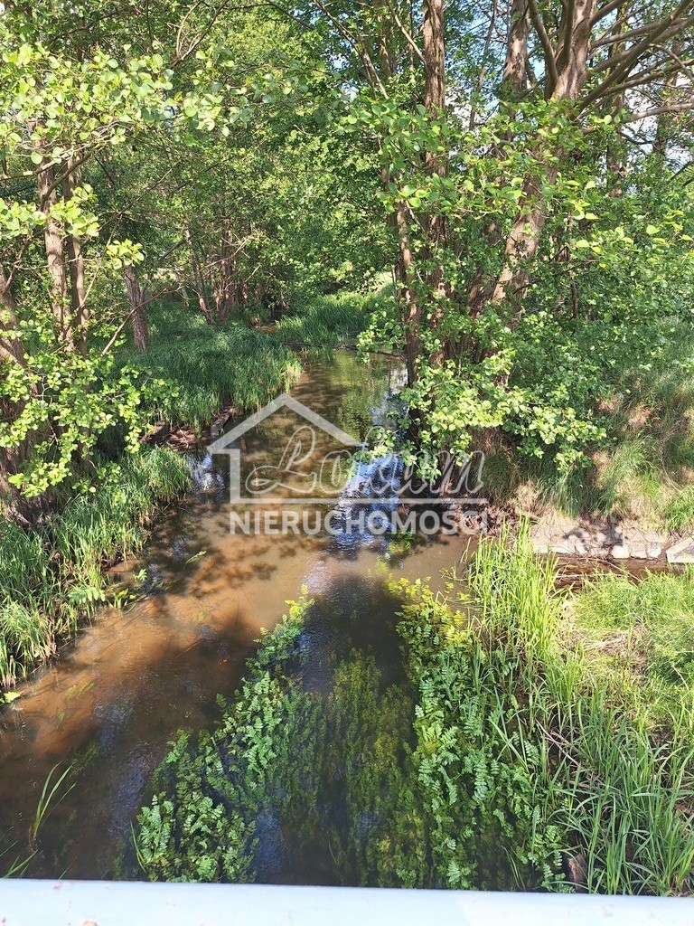 Działka inwestycyjna 3143&nbsp;m², Tanowo, Szczecińska - zdjęcie 7